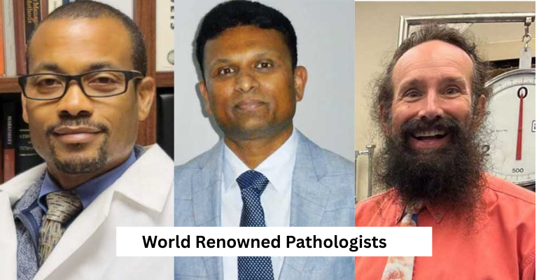 Dr Gary Collins, Dr Shubhakar Karra Paul and Dr. Glenn A. Rudner