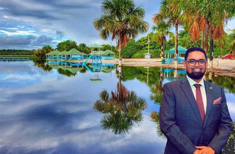 President Dr Mohamed Irfaan Ali