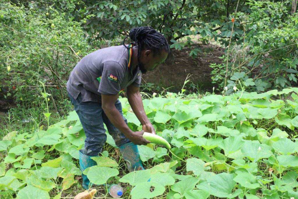 Press Release: Buxton farmers credit collaboration with gov’t for advancing agriculture