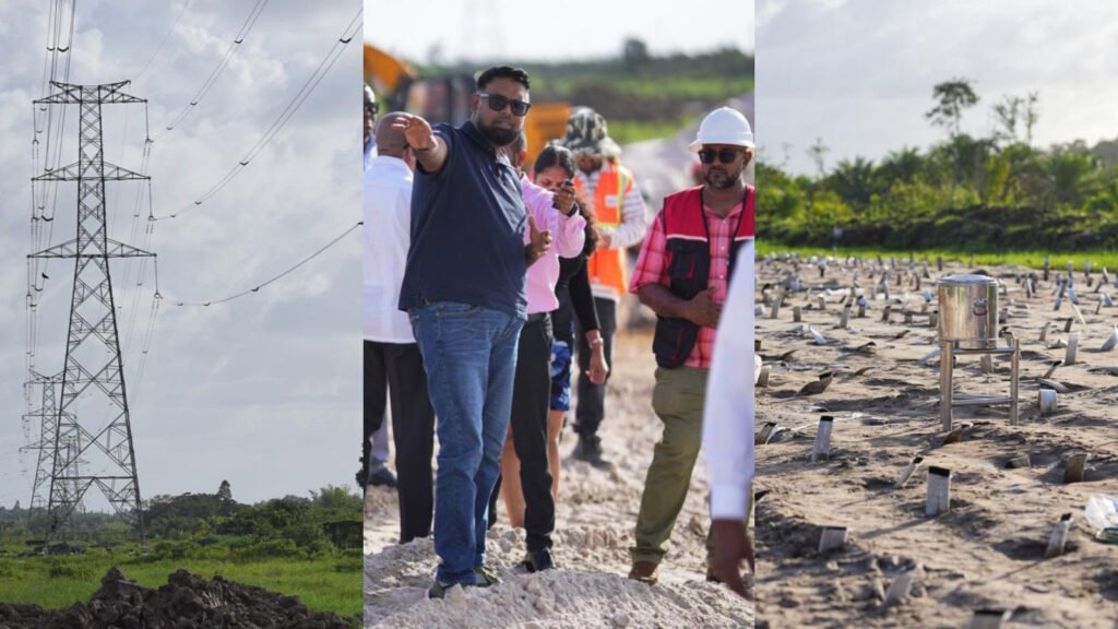 President Ali inspects Buzz Bee Dam works, calls project cornerstone of new national highway link