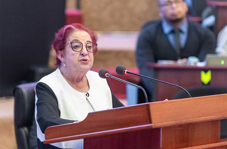 Min Teixeira stresses democracy as central duty of government