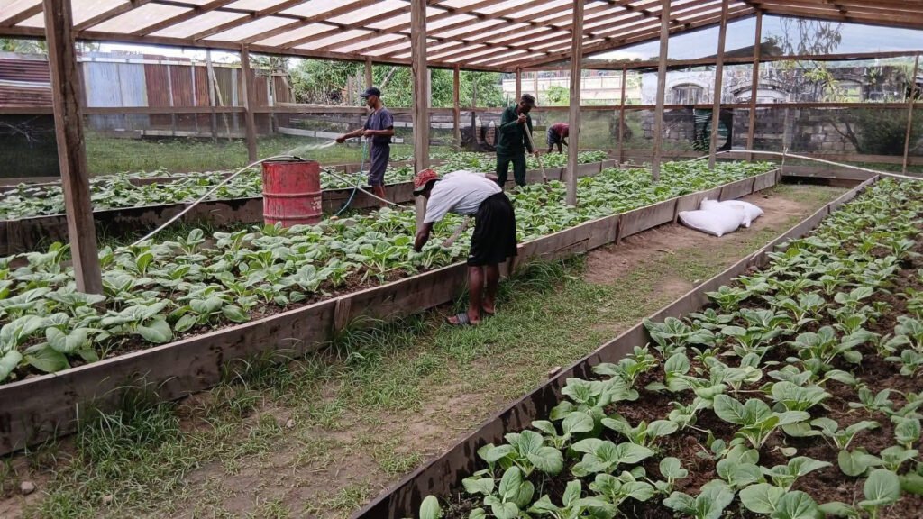 1,000 prisoners trained annually to reduce recidivism rate