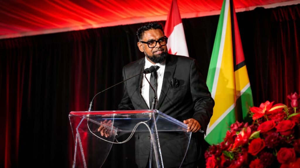 President Dr. Irfaan Ali