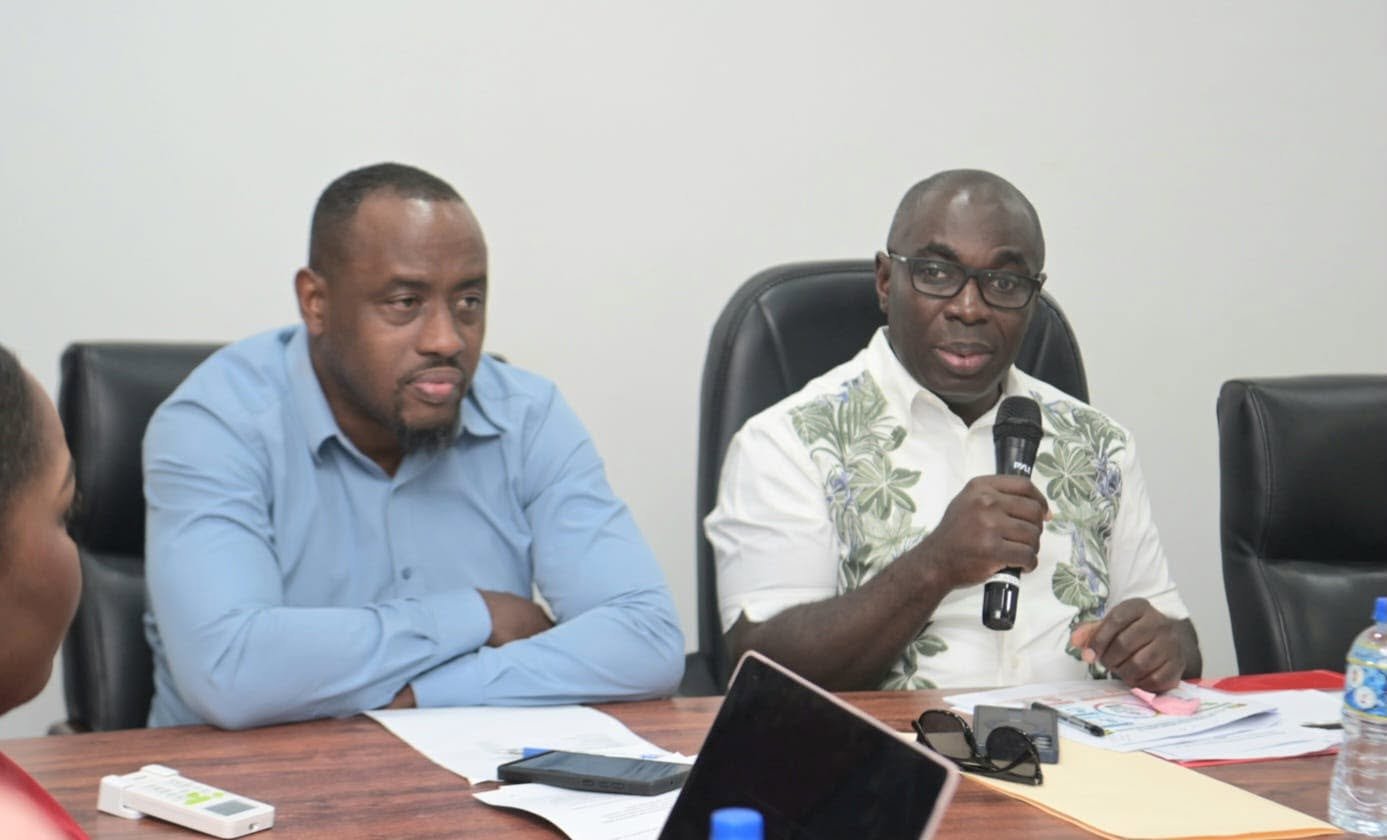 Minister within the Office of the Prime Minister with Responsibility for Public Affairs, Kwame McCoy