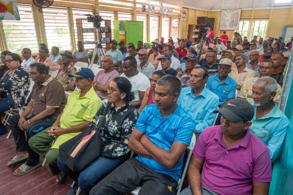 Government injects $2.76B into rice sector