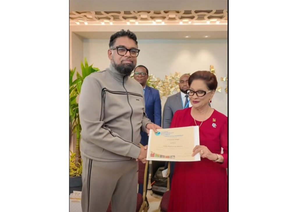 President Dr Mohamed Irfaan Ali
