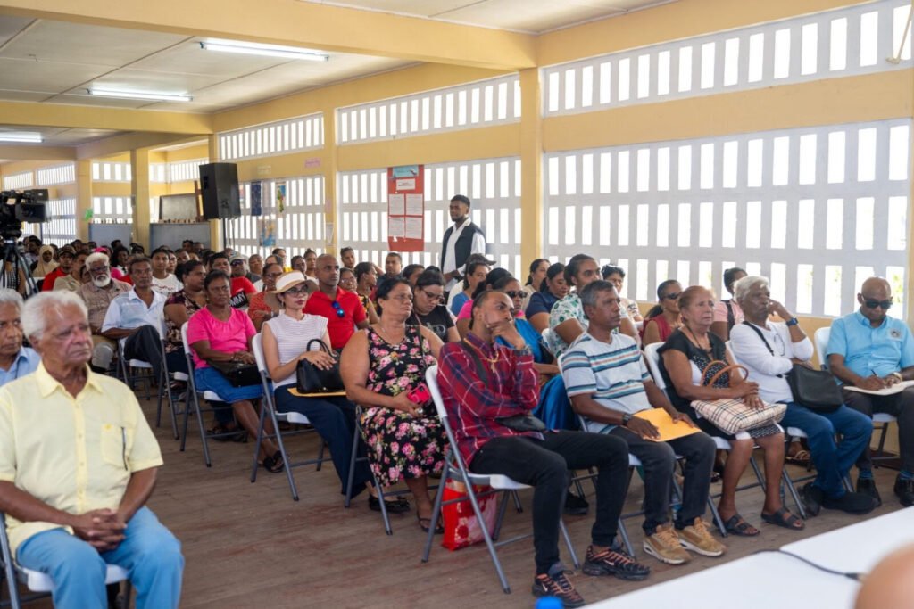 Government launches Model Village initiative to transform communities – Pres Ali