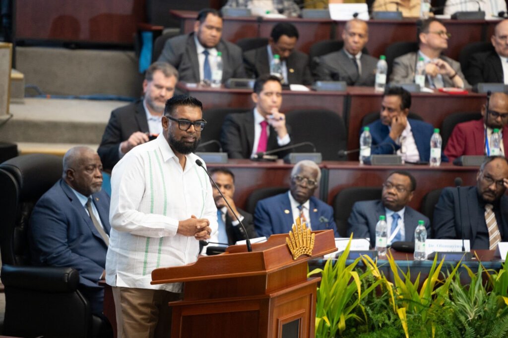 President Dr Mohamed Irfaan Ali