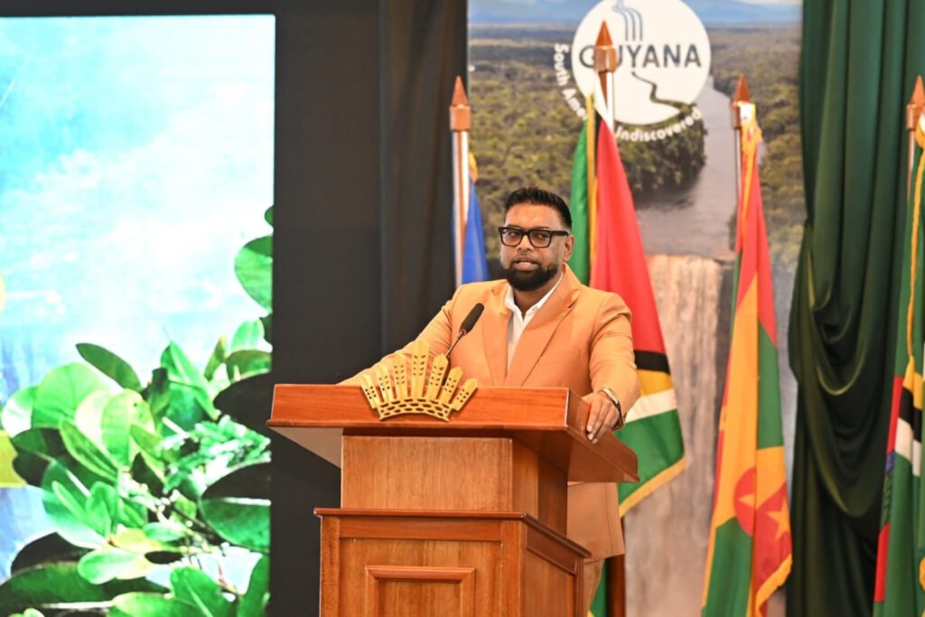 President Dr Mohamed Irfaan Ali