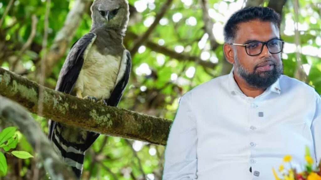 President Irfaan Ali Positions Guyana at the Forefront of Global Biodiversity Protection as Alliance Expands Beyond 140 International Partners President Dr Mohamed Irfaan Ali